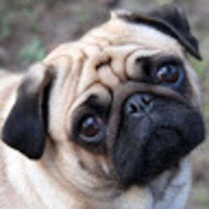 Meet your Posher, Krista